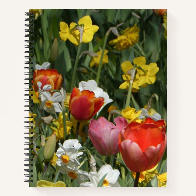 Colourful Tulips & Daffodils Notebook (Front)