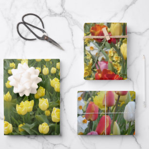 Colourful Tulips & Daffodils Wrapping Paper Sheets
