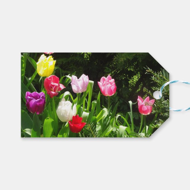 Colourful Tulips DIY Gift Tag (Front (Horizontal))