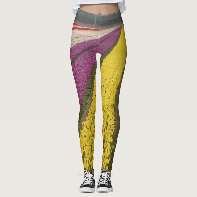 Colourful Tulips Field Legging (Front)