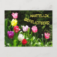 Colourful Tulips Happy Birthday Postcard