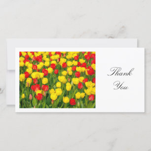 Colourful Tulips II - Thank You Card