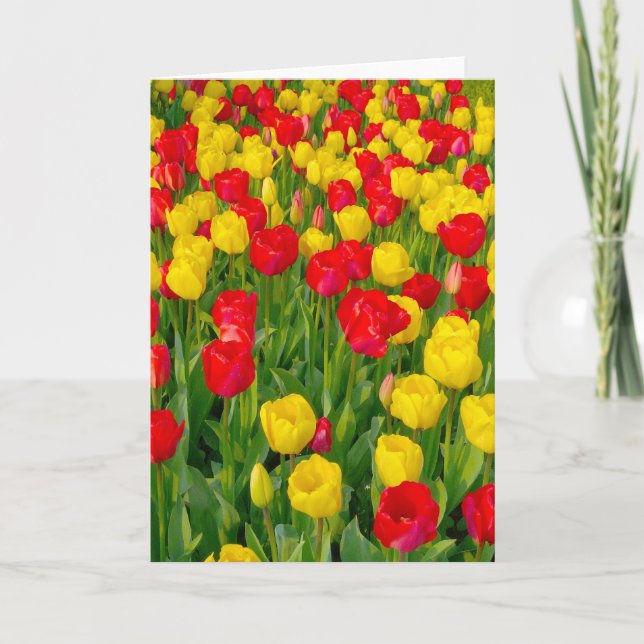 Colourful Tulips III - Vertical Card (Front)
