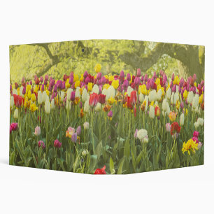 Colourful tulips in a park binder