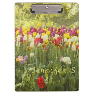 Colourful tulips in a park personalized clipboard