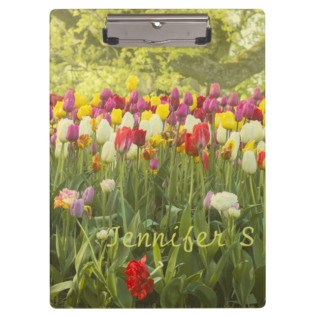 Colourful tulips in a park personalized  clipboard (Front)