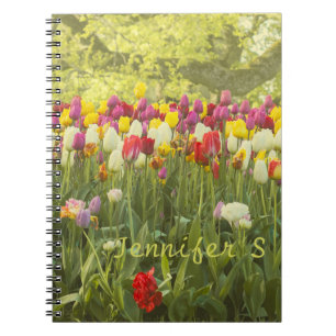 Colourful tulips in a park personalized notebook