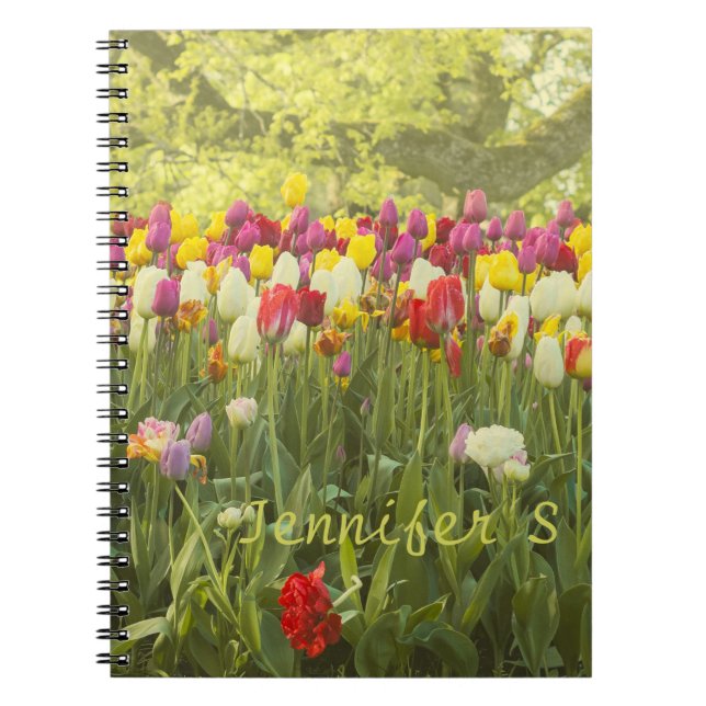 Colourful tulips in a park personalized  notebook (Front)