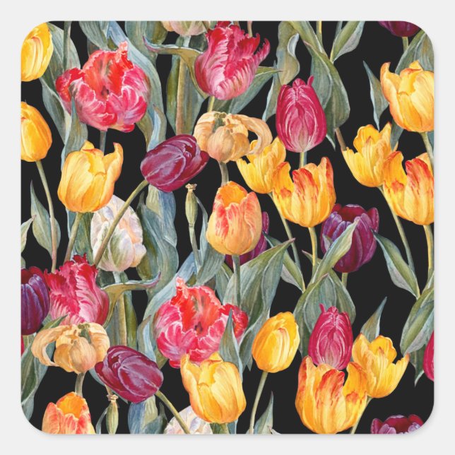 Colourful tulips, isolated black background. square sticker (Front)