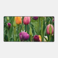 Colourful Tulips Print