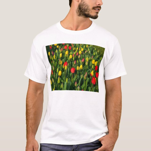 Colourful Tulips T-Shirt (Front)