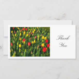 Colourful Tulips - Thank You Card