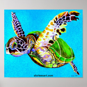 colourful turtle poster