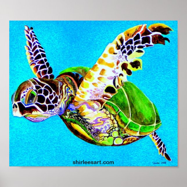 colourful turtle poster (Front)