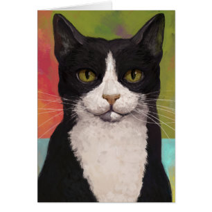 Colourful Tuxedo Cat