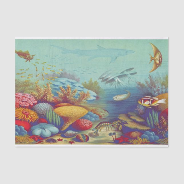 Colourful Under the Sea Scene Tissue Paper (Front)