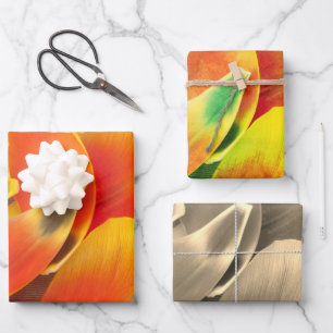 Colourful Variety Tulip Petal Photo All Occasion  Wrapping Paper Sheet