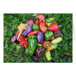 Colourful Veggies and Maple Leaves