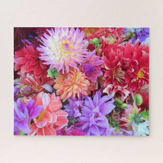 Colourful Vibrant Dahlia Flowers  Jigsaw Puzzle (Horizontal)
