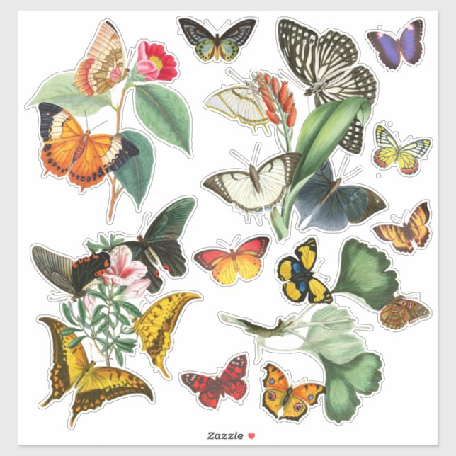 Colourful Vintage Art Butterflies and Flowers (Sheet)