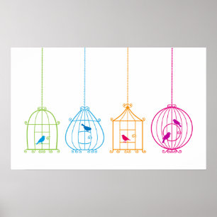 Colourful vintage birdcages with cute birds poster