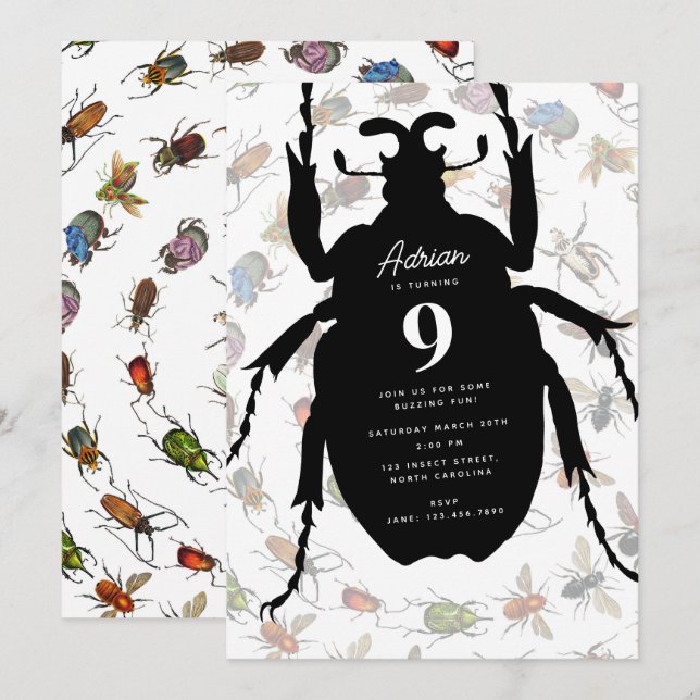 Colourful Vintage Bugs Beetles Birthday Party Them Invitation (Front/Back)