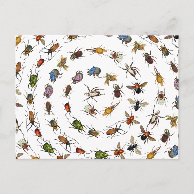 Colourful Vintage Bugs & Beetles Pattern Holiday Postcard (Front)
