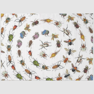 Colourful Vintage Bugs & Beetles Pattern Tissue Paper