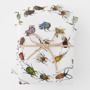 Colourful Vintage Bugs & Beetles Pattern Wrapping Paper Sheet