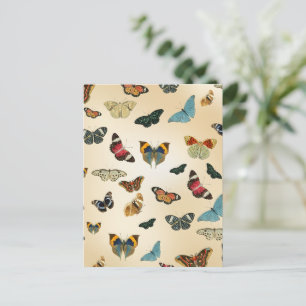 colourful vintage Butterfly illustration Pattern Postcard