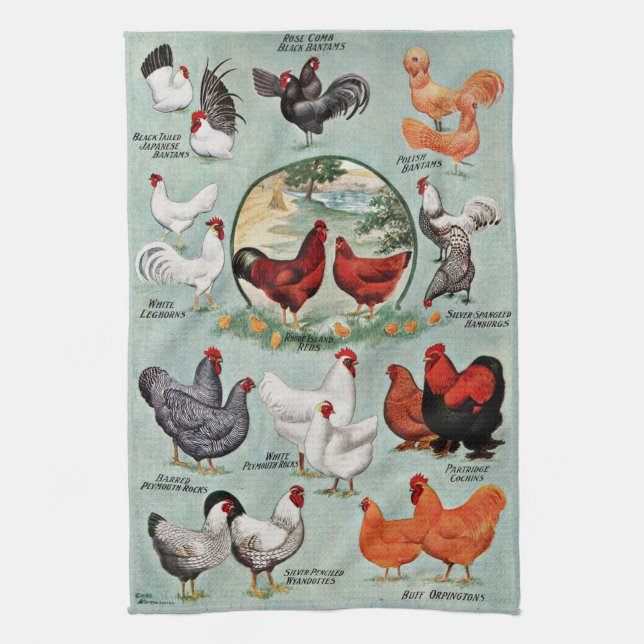 Colourful Vintage Chicken Breeds  Kitchen Towel (Vertical)