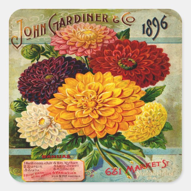 Colourful Vintage Dahlia Flowers Square Sticker (Front)