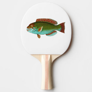 Colourful Vintage Fish Ping Pong Paddle