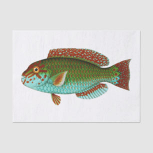 Colourful Vintage Fish Tissue Paper