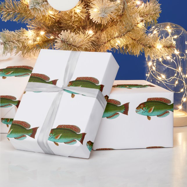 Colourful Vintage Fish Wrapping Paper (Holidays)