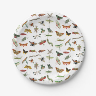 Colourful Vintage Insect Birthday Party Theme Paper Plate
