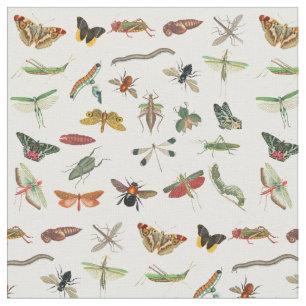 Colourful Vintage Insect Illustration Pattern Fabric