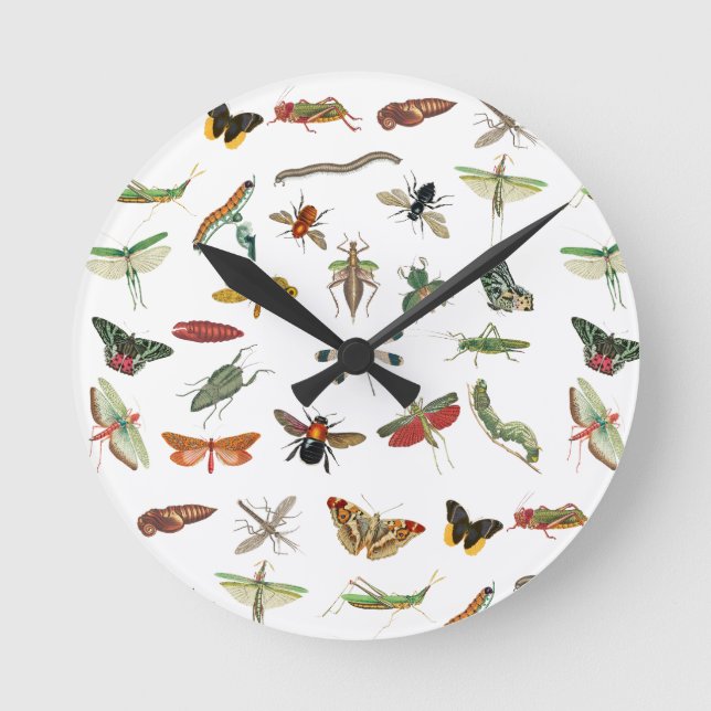 Colourful Vintage Insect Illustration Pattern  Round Clock (Front)