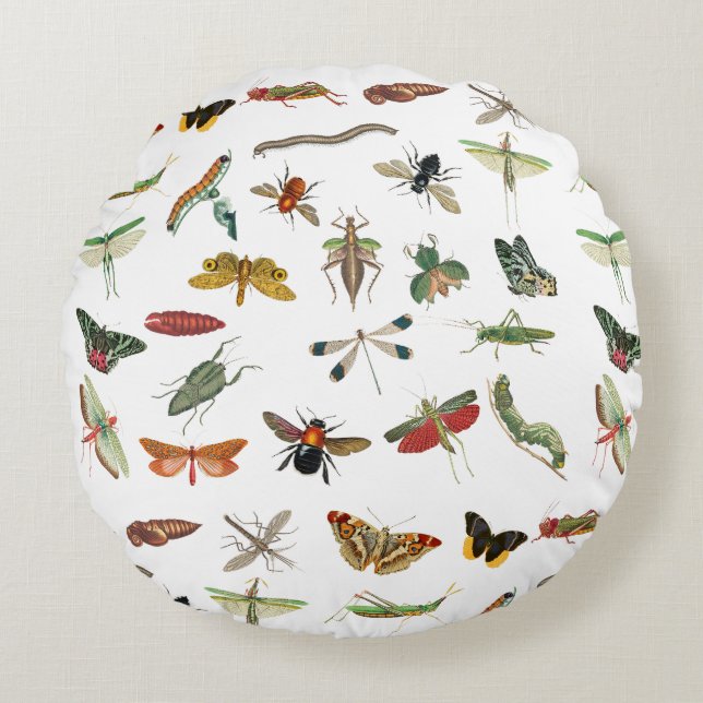 Colourful Vintage Insect Illustration Pattern Round Pillow (Front)