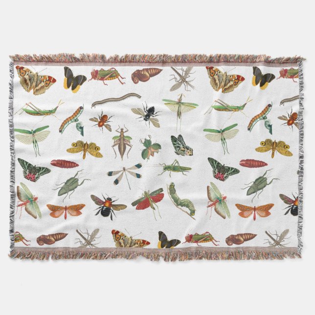 Colourful Vintage Insect Illustration Pattern Throw Blanket (Front)