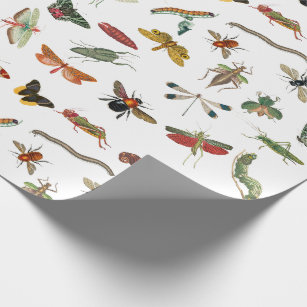 Colourful Vintage Insect Illustration Pattern Wrapping Paper