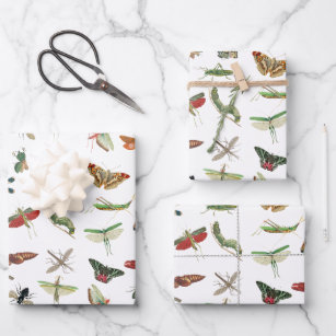 Colourful Vintage Insect Illustration Pattern  Wrapping Paper Sheet