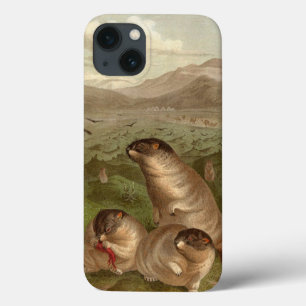 Colourful vintage marmot illustration case