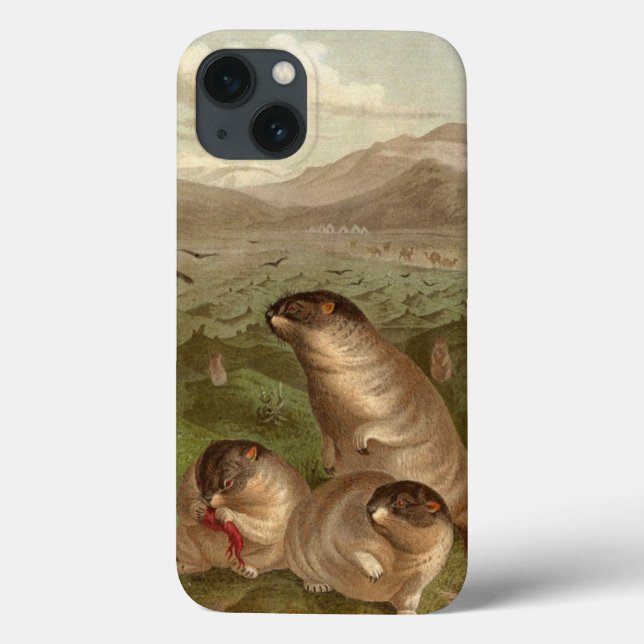 Colourful vintage marmot illustration case (Back)