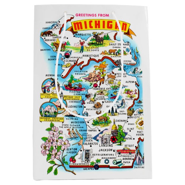 Colourful Vintage Michigan Map  Medium Gift Bag (Front)