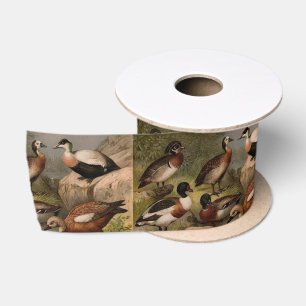 Colourful vintage painting of ducks satin ribbon