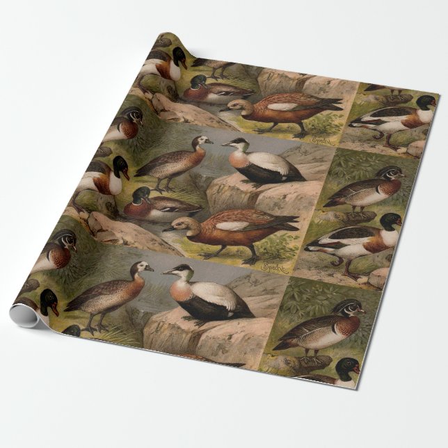 Colourful vintage painting of ducks wrapping paper (Unrolled)