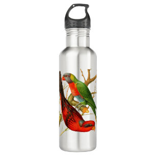 Colourful Vintage Red & Green Parrots Illustration 710 Ml Water Bottle