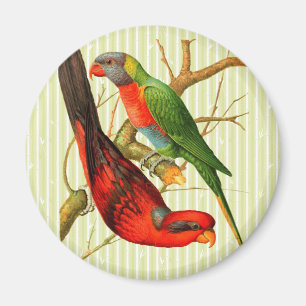 Colourful Vintage Red & Green Parrots Illustration Magnet