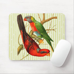 Colourful Vintage Red & Green Parrots Illustration Mouse Pad